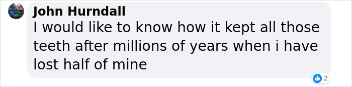 Men Discover Perfectly Preserved Skull Of Prehistoric Predator That Lived 150 Million Years Ago Men Discover Perfectly Preserved Skull Of Prehistoric Predator That Lived 150 Million Years Ago
