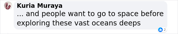Men Discover Perfectly Preserved Skull Of Prehistoric Predator That Lived 150 Million Years Ago Men Discover Perfectly Preserved Skull Of Prehistoric Predator That Lived 150 Million Years Ago