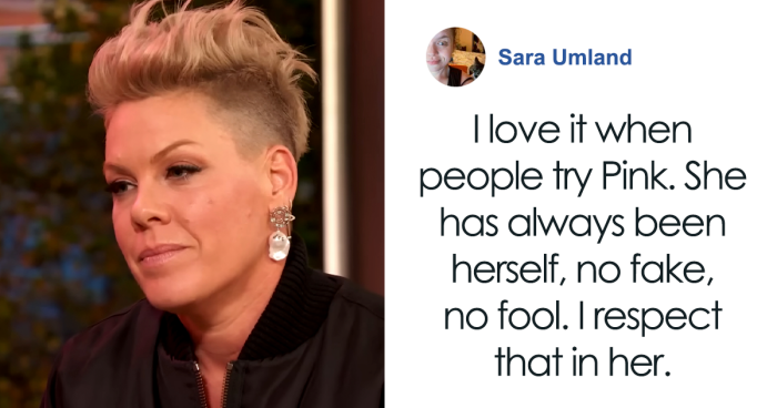 “I Still Wear A Leotard To Work”: Pink Slams Troll Calling Her “Old” On Social Media