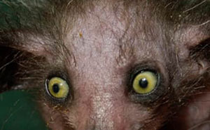 40 Memes That Hilariously Sum Up What Pregnancy And Being A Parent Are Like