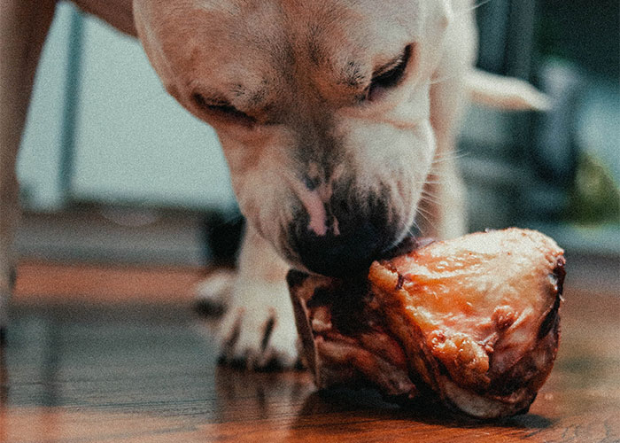 Woman Cracks Up After Ham Scraps Given To Her Dog By Rich Family Fed Her Family For Months
