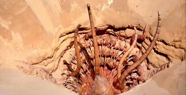 sarlacc-656aeb4f1aac0.jpg