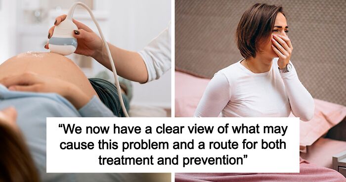 Doctors Finally Identify Root Cause Of Morning Sickness During First Trimester Of Pregnancy