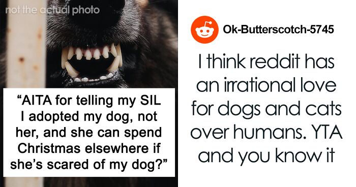 “I Adopted My Dog, Not Her”: Woman Splits Family And The Internet With Her Clapback To SIL