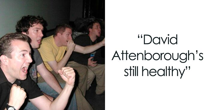 Our World Isn’t A Total Nightmare And These 39 Things Prove That, As Shared Online