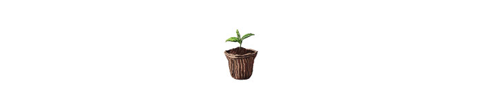 Small flower in a pot illustration 