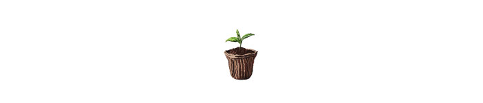 Small flower in a pot illustration Small flower in a pot illustration