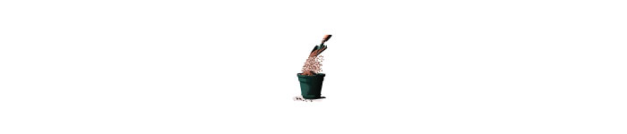 Filling a pot with potting mix illustration Filling a pot with potting mix illustration