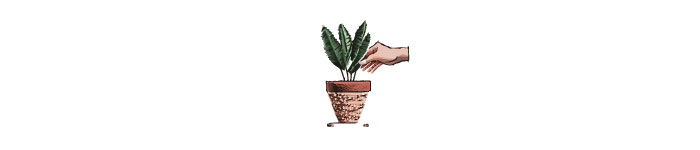 Person taking out a plant from a pot illustration Person taking out a plant from a pot illustration