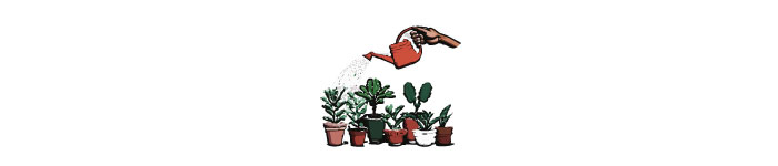 Multiple plants in pots being watered illustration 