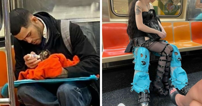 “Subway Creatures”: 44 Funny And Strange Things People Spotted On Their Daily Commute