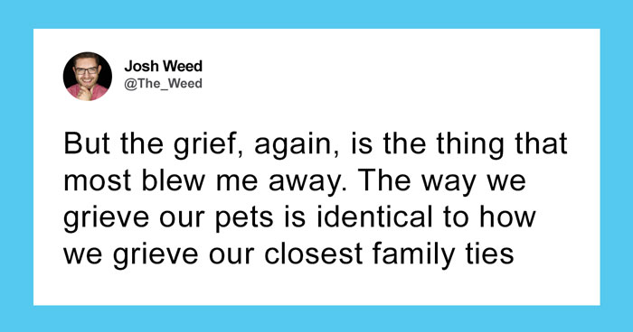 “Pets Are Family”: Family Therapist Explains Why Pets Mean So Much More Than That To Their Humans