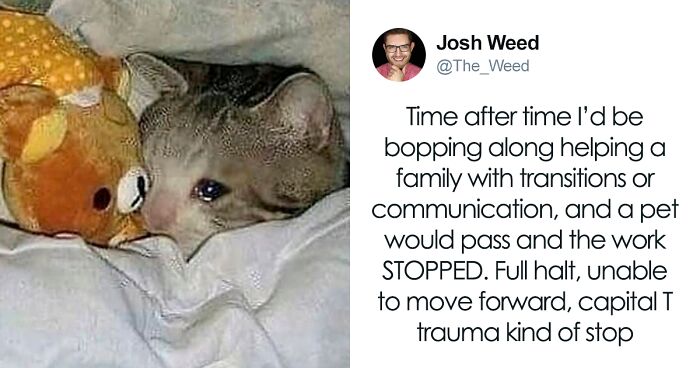 “Pets Are Family”: Family Therapist Explains Why Pets Mean So Much More Than That To Their Humans