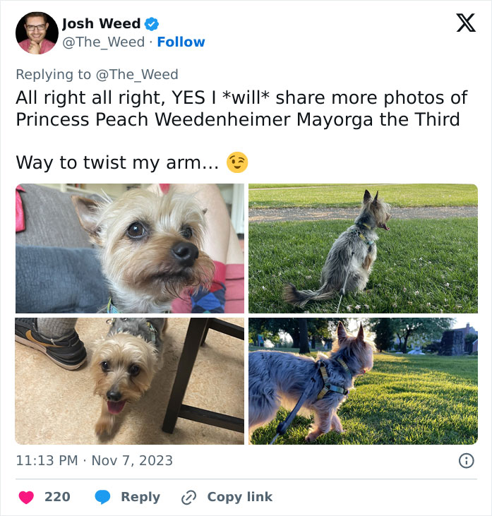 “Pets Are Family”: Family Therapist Explains Why Pets Mean So Much More Than That To Their Humans “Pets Are Family”: Family Therapist Explains Why Pets Mean So Much More Than That To Their Humans