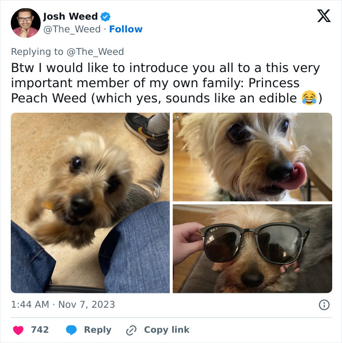 “Pets Are Family”: Family Therapist Explains Why Pets Mean So Much More Than That To Their Humans “Pets Are Family”: Family Therapist Explains Why Pets Mean So Much More Than That To Their Humans