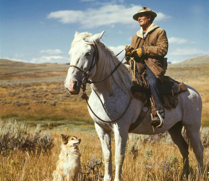 “Pets Are Family”: Family Therapist Explains Why Pets Mean So Much More Than That To Their Humans “Pets Are Family”: Family Therapist Explains Why Pets Mean So Much More Than That To Their Humans