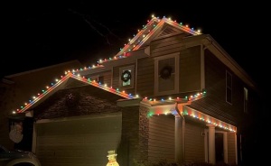 Hey Pandas, It's National Christmas Lights Day, Share How You Used Them To Decorate Something