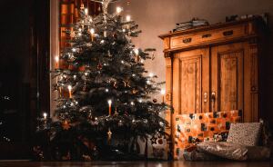 Hey Pandas, Share Your Christmas Trees