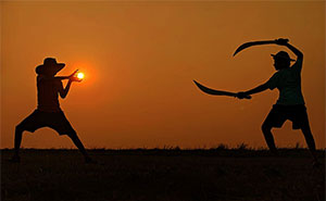 Sunset Stories: 17 Pics Of People's Silhouettes, Plants And Insects By This Photographer