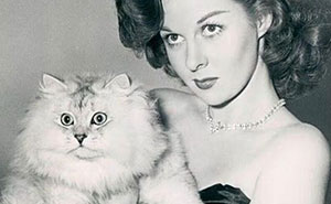 A Collection Of Vintage Cat Photos By Brazilian Journalist That We Didn’t Ask For But Definitely Needed (50 New Pics)