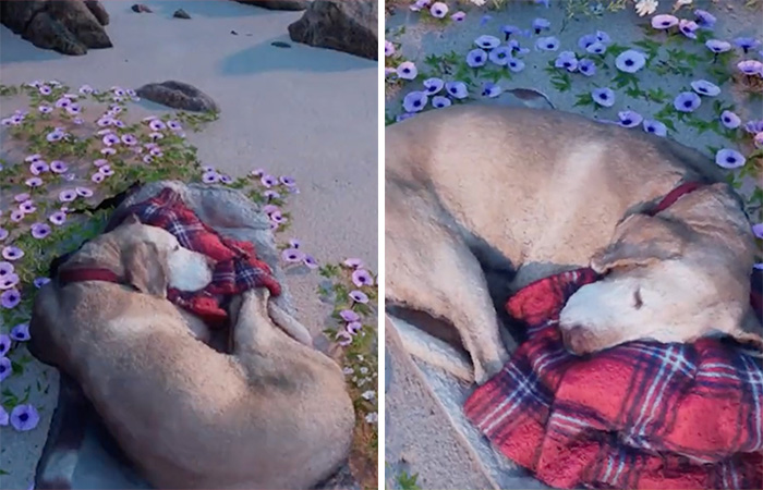 To Cope With His Grief, Man Creates A World Where He Can Keep Visiting His Pooch Who Passed Away