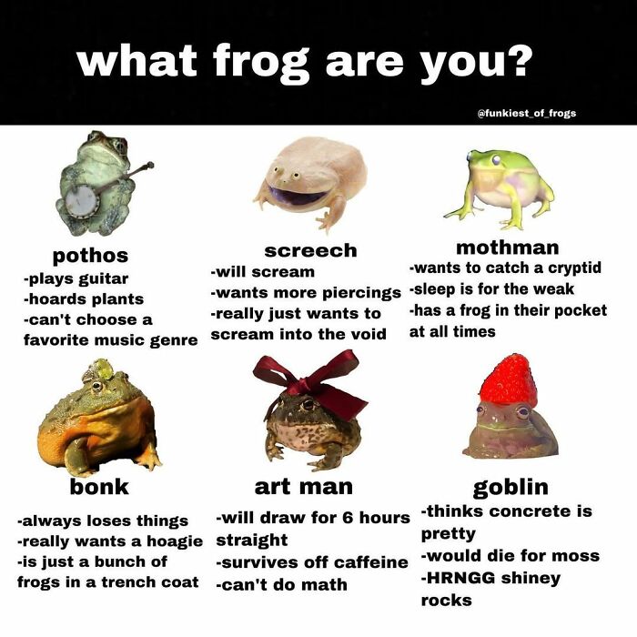 Which Frog Are You?