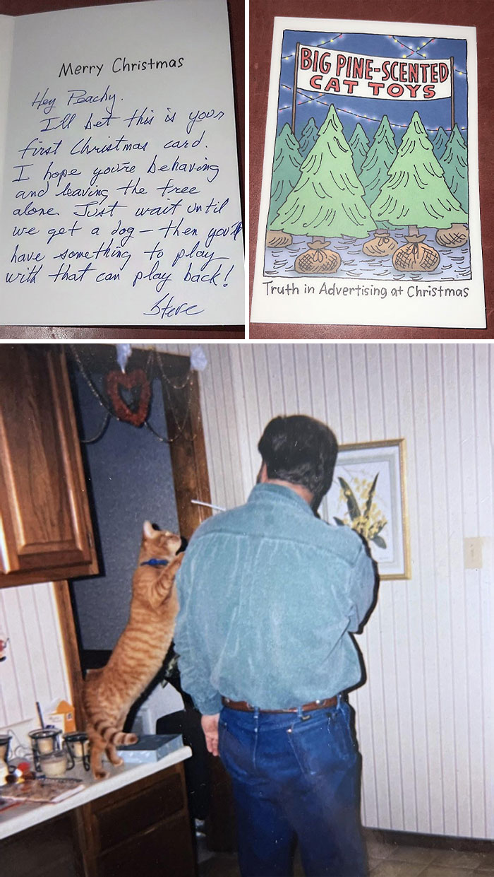 For The Initial 8 Months Of Marriage, My Parents Maintained A Long-Distance Relationship, Exchanging Constant Letters. Going Through The Old Boxes, I Discovered Dad Even Mailed Our Cat