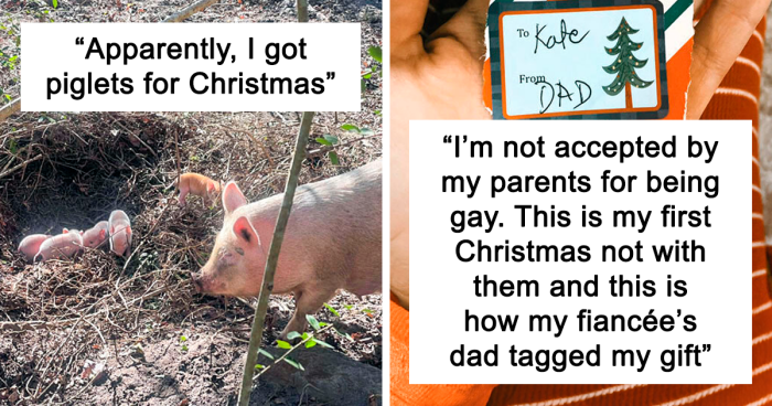 50 Christmas Posts That Are Beyond Wholesome (New Pics)