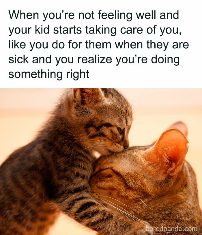 Wholesome-Funny-Memes