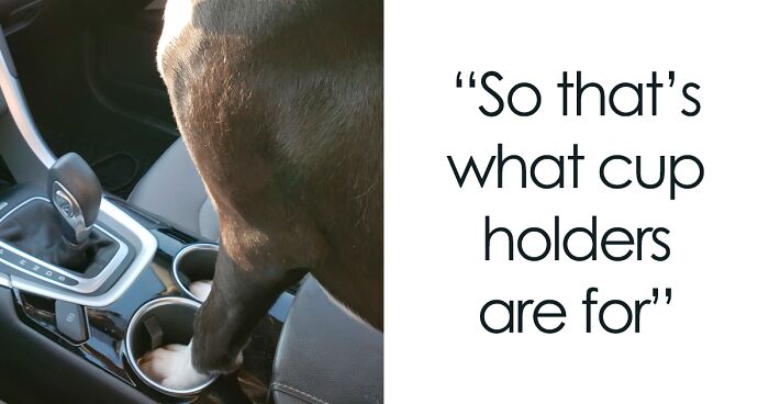 35 Wholesome Memes To Restore Your Faith In Humanity