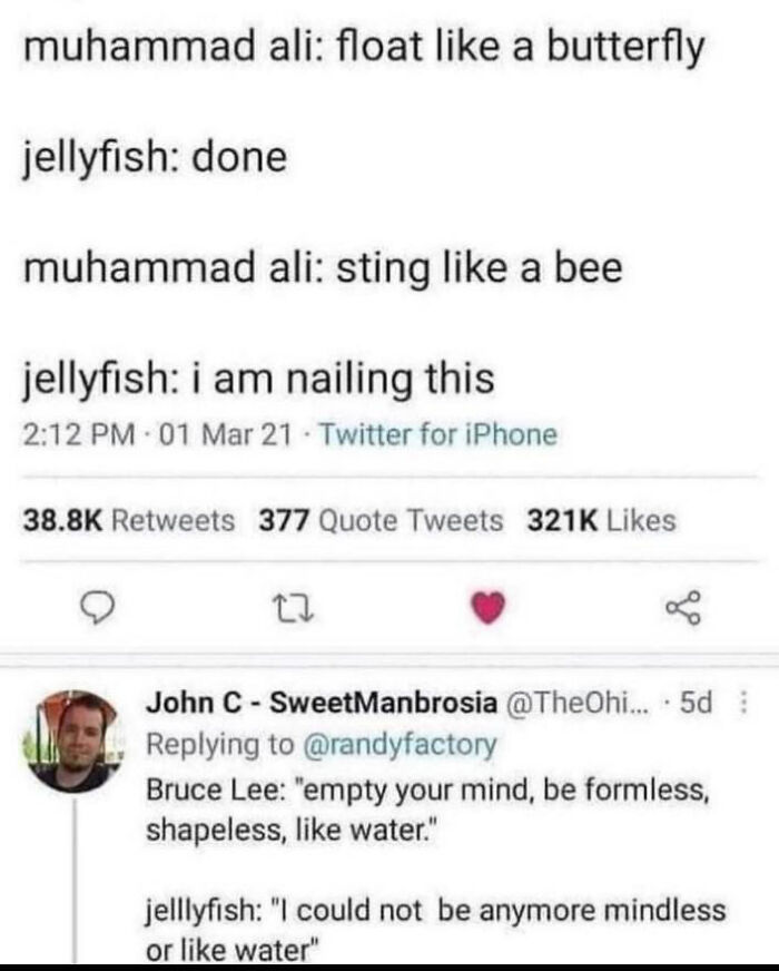 Wholesome Jellyfish