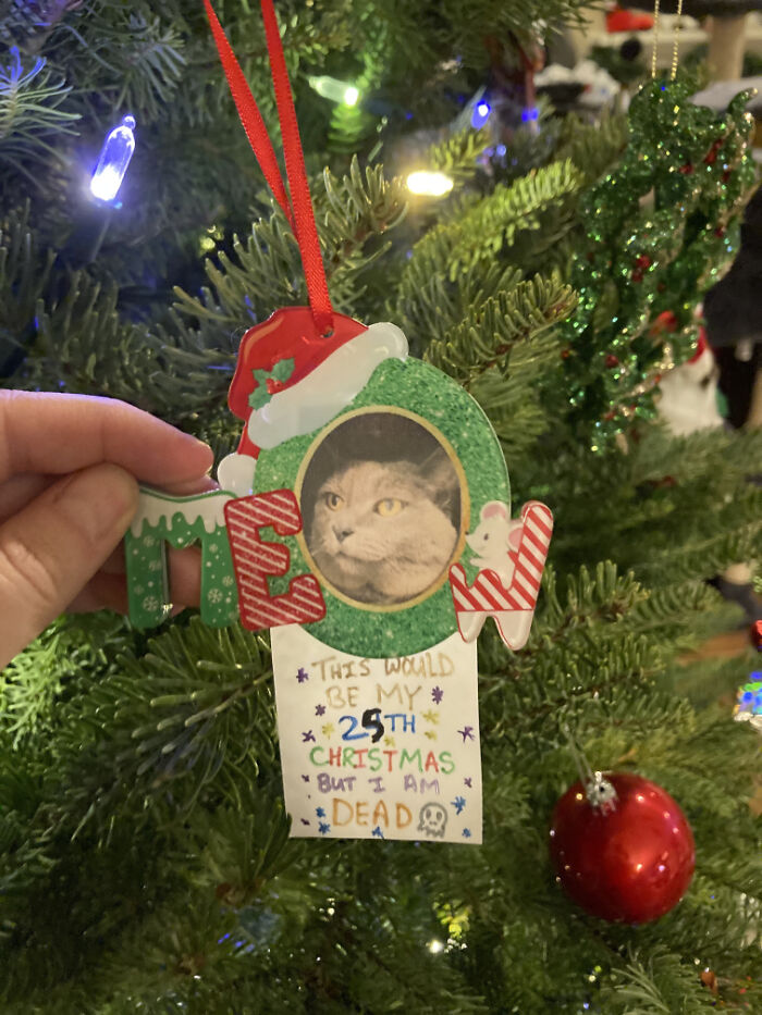 Wintressia Died In 2018. My Family Says This Ornament Is Morbid. I Say Wintressia Is Still With Me In Spirit!
