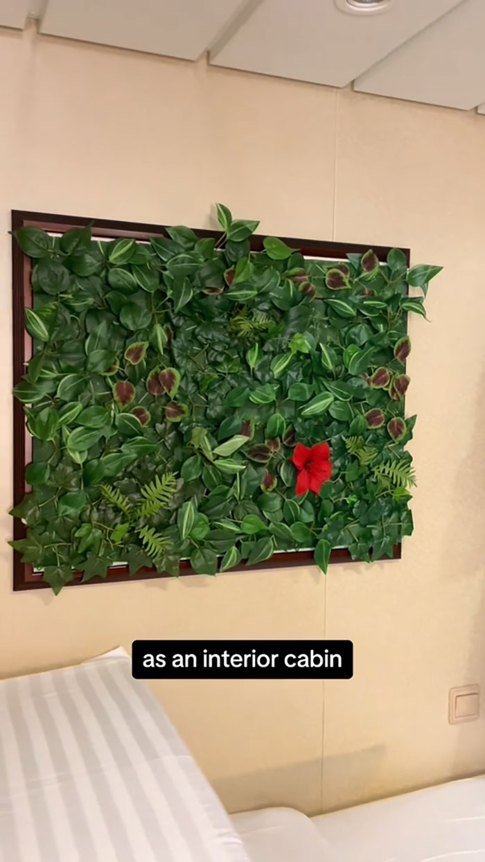 “Yikes”: People React To Woman’s Cabin Tour On Board Royal Caribbean’s “Ultimate World Cruise” “Yikes”: People React To Woman’s Cabin Tour On Board Royal Caribbean’s “Ultimate World Cruise”