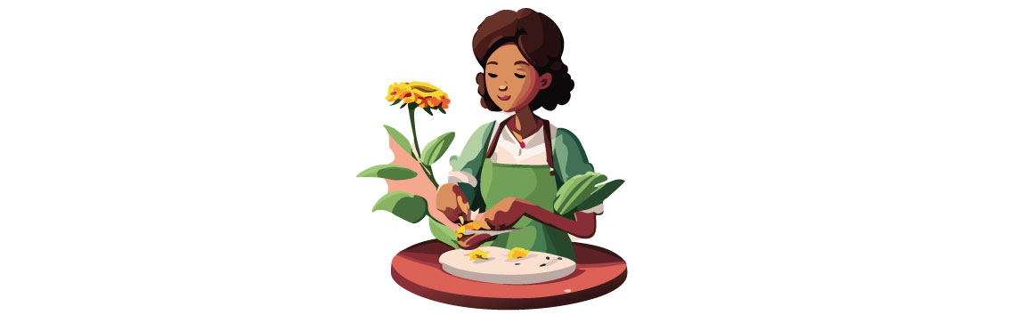 Illustration of woman cutting zinnia