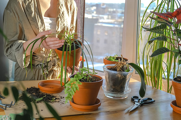 Woman Is Done With Vegan Roommate’s Daily Shaming Of Her Diet, Comes Up With Genius Revenge Woman Is Done With Vegan Roommate’s Daily Shaming Of Her Diet, Comes Up With Genius Revenge