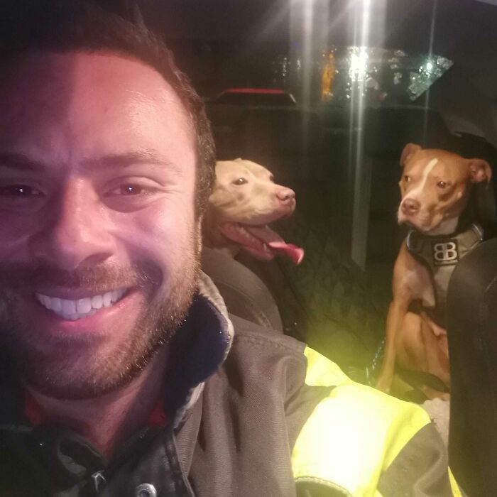 Man Drives Over 200 Miles To Rehome XL Bully Dogs Amidst A New Ban Man Drives Over 200 Miles To Rehome XL Bully Dogs Amidst A New Ban