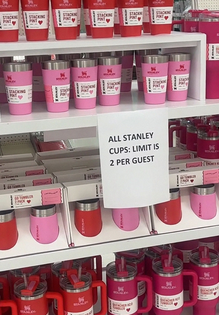 “Is A Cup Worth Your Job?“: Target Employees Across The US Get Sacked Over Stanley Cups