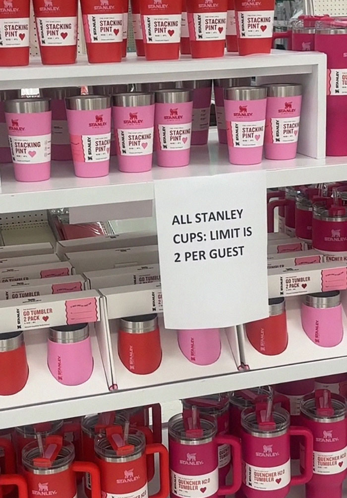 “Is A Cup Worth Your Job?“: Target Employees Across The US Get Sacked Over Stanley Cups “Is A Cup Worth Your Job?“: Target Employees Across The US Get Sacked Over Stanley Cups