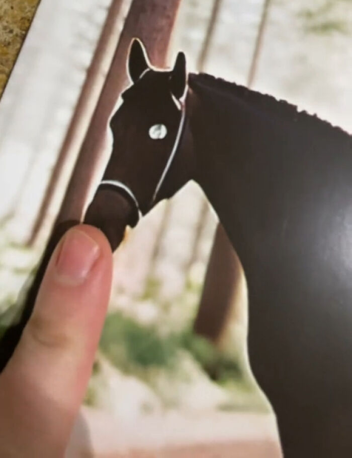 Woman Thinks She Bought A Simple Horse Calendar, Starts Noticing Odd Things Pop Up Woman Thinks She Bought A Simple Horse Calendar, Starts Noticing Odd Things Pop Up