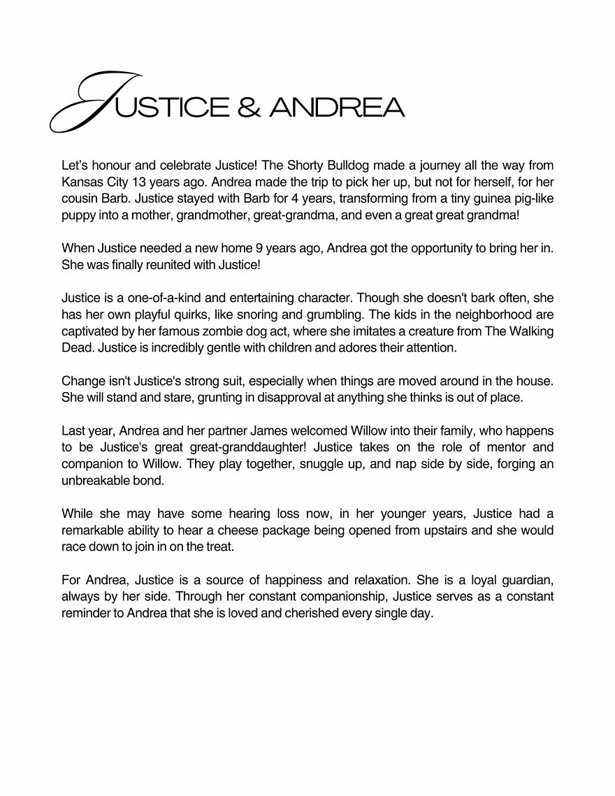 Celebrating Dogs & Their Humans