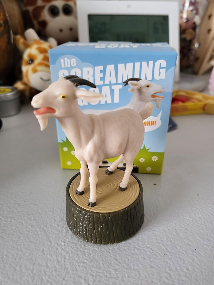Bring On The Belly Laughs And Joyous Screams, The Mini Screaming Goat Figure Is The Fun Gag Gift Everyone Needs