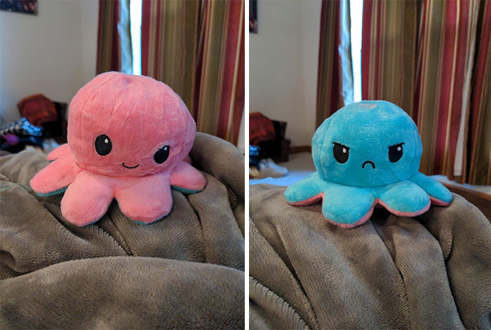 Let This Quirky, Internet-Famous Reversible Octopus Plushie Do The Talking And Brilliantly Communicate Those 'Flip The Script' Moods – A Squishy Must-Have!