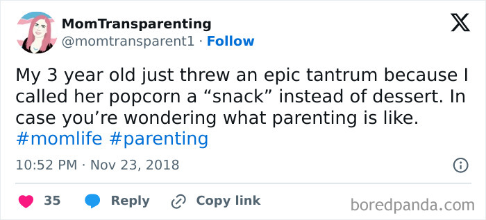 Funny-Tantrum-Tweets-Parents