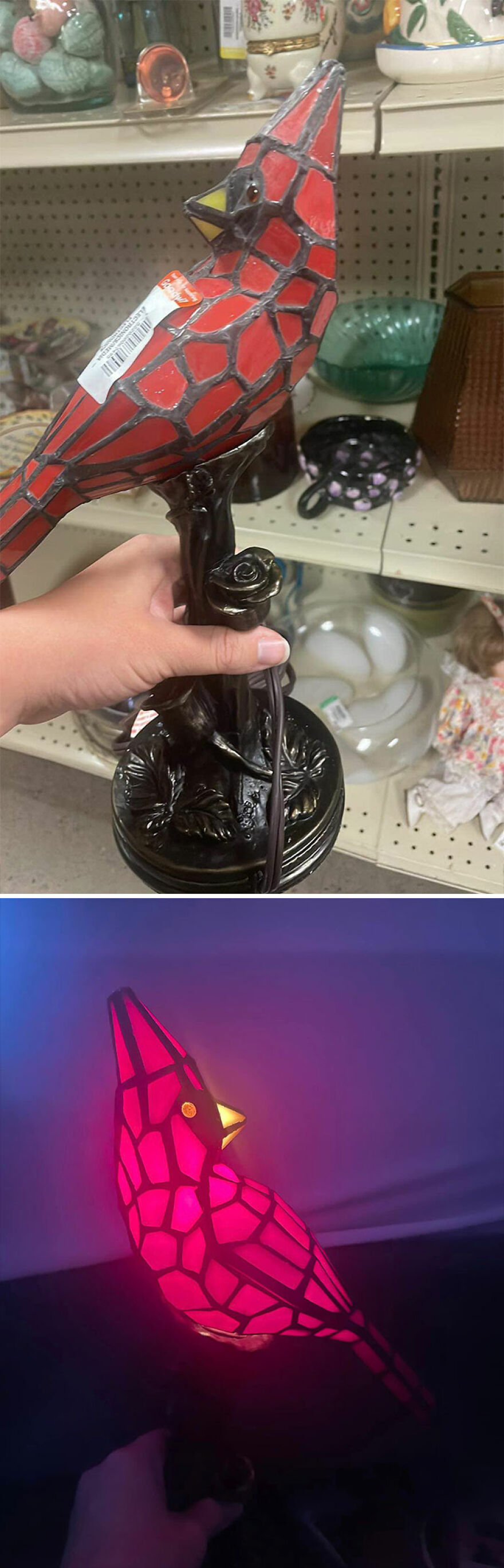 Found This Cool Lamp At Goodwill!