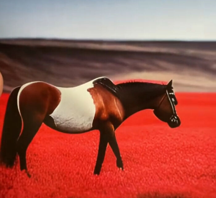 Woman Thinks She Bought A Simple Horse Calendar, Starts Noticing Odd Things Pop Up Woman Thinks She Bought A Simple Horse Calendar, Starts Noticing Odd Things Pop Up