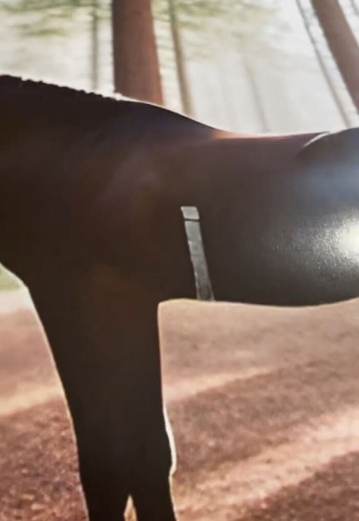 Woman Thinks She Bought A Simple Horse Calendar, Starts Noticing Odd Things Pop Up Woman Thinks She Bought A Simple Horse Calendar, Starts Noticing Odd Things Pop Up