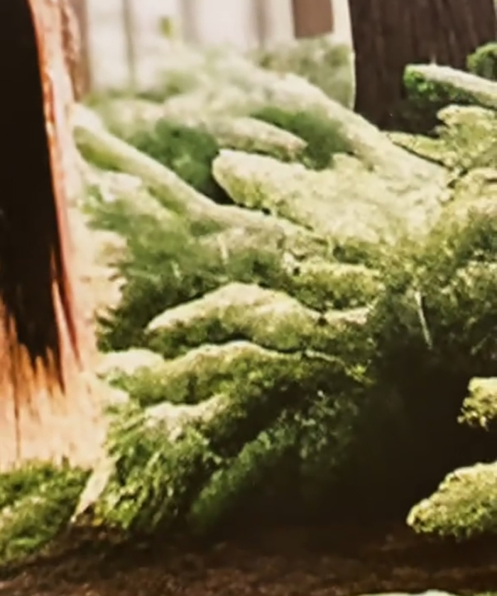 Woman Thinks She Bought A Simple Horse Calendar, Starts Noticing Odd Things Pop Up Woman Thinks She Bought A Simple Horse Calendar, Starts Noticing Odd Things Pop Up