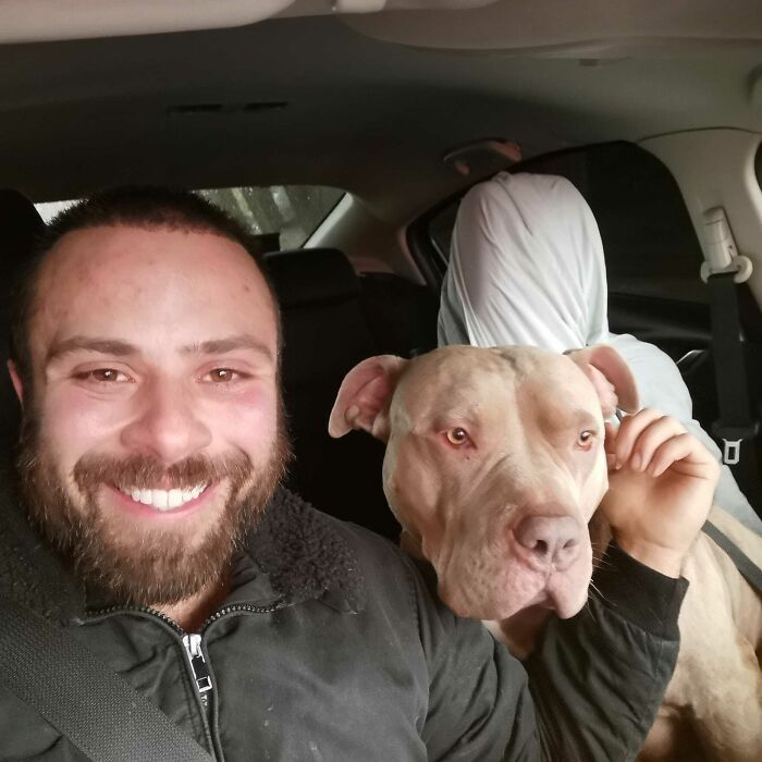 Man Drives Over 200 Miles To Rehome XL Bully Dogs Amidst A New Ban Man Drives Over 200 Miles To Rehome XL Bully Dogs Amidst A New Ban