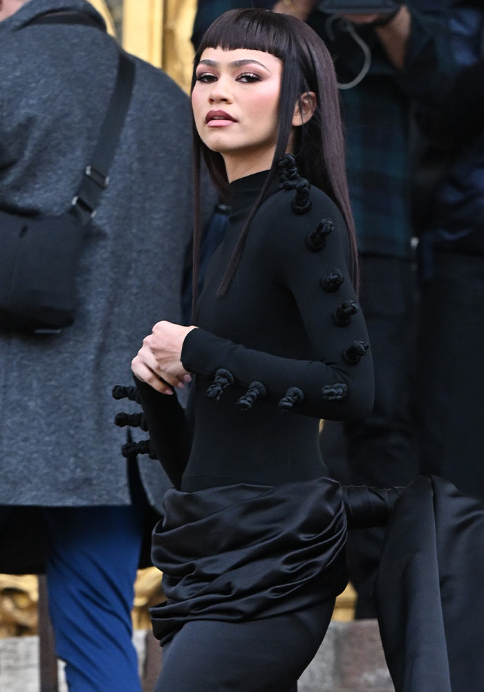 Zendaya’s Schiaparelli Paris Fashion Week Show Look Sparks Funny Comparisons