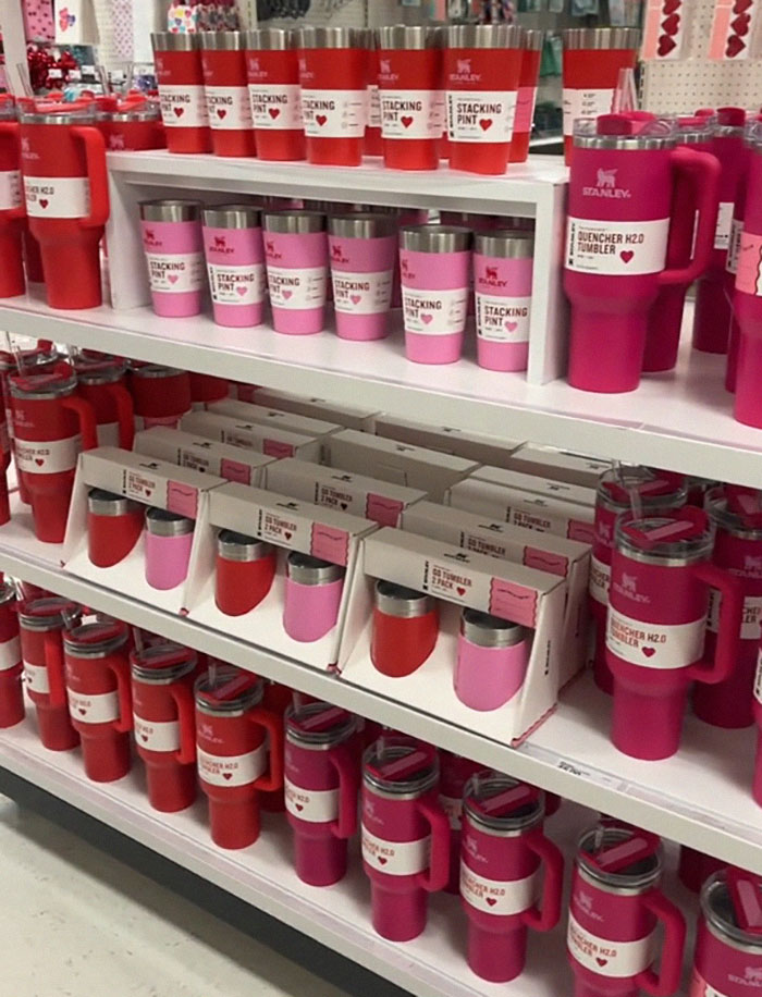 “Is A Cup Worth Your Job?“: Target Employees Across The US Get Sacked Over Stanley Cups